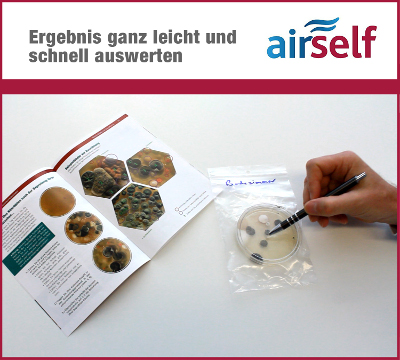 Schimmelpilz-Schnelltest airself auswertung