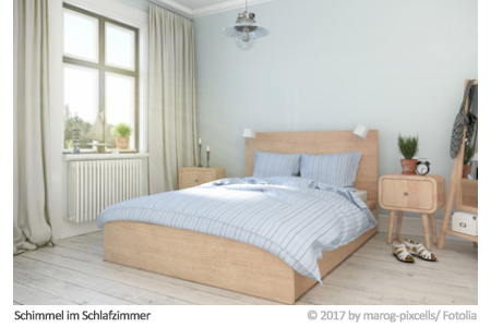 Schimmel im Schlafzimmer